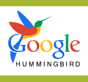 What is Google Hummingbird algorithm Updates in SEO