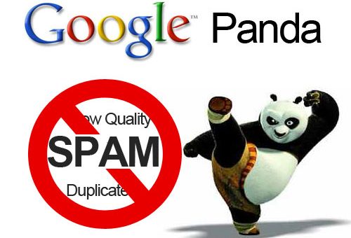 What is Google Panda Algorithm Updates in SEO
